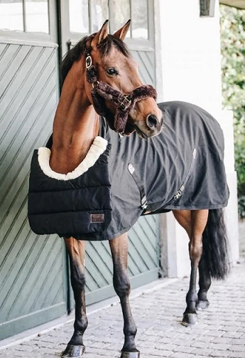 Kentucky Paarden BIB Winter - Afbeelding 4