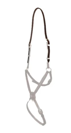 Dy'on Neusriemadapter