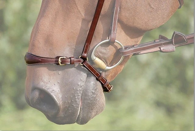 Dy'on Collectie Hannoveraanse Neusriem - Afbeelding 2