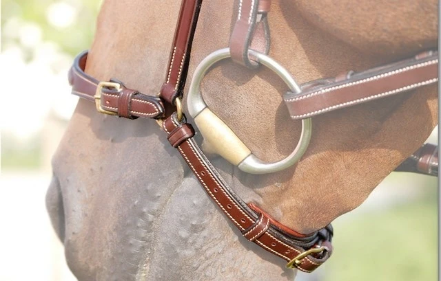 Dy'on Collectie Hannoveraanse Neusriem - Afbeelding 3