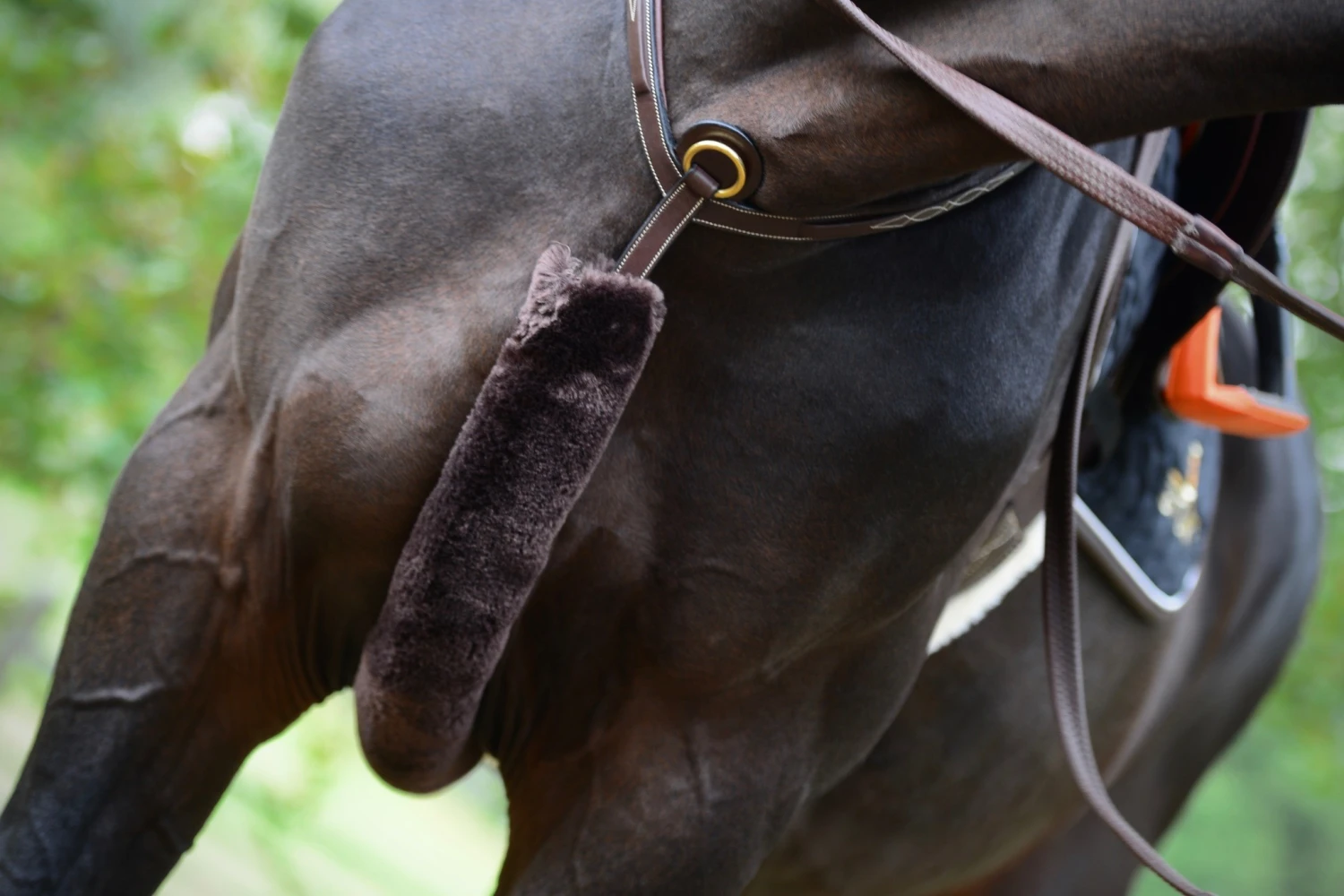 Kentucky Borsttuighoes Bont - Afbeelding 2