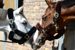 Kentucky Halster Van Schapenvacht