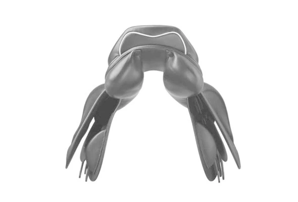 Prestige Zadel Joy Jumper 16" - Afbeelding 3