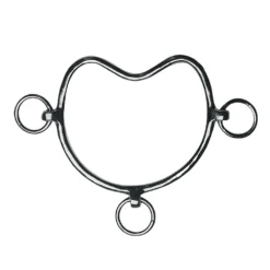 Feeling Chifney - Hengstenbit