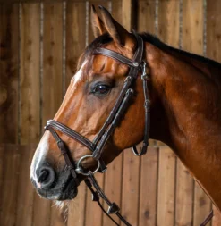 Dy'on Working Collectie Hoofdstel Gecombineerde Neusriem Clip