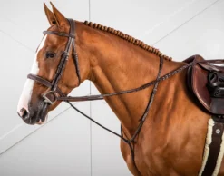 Dy'on Vaste Martingaal