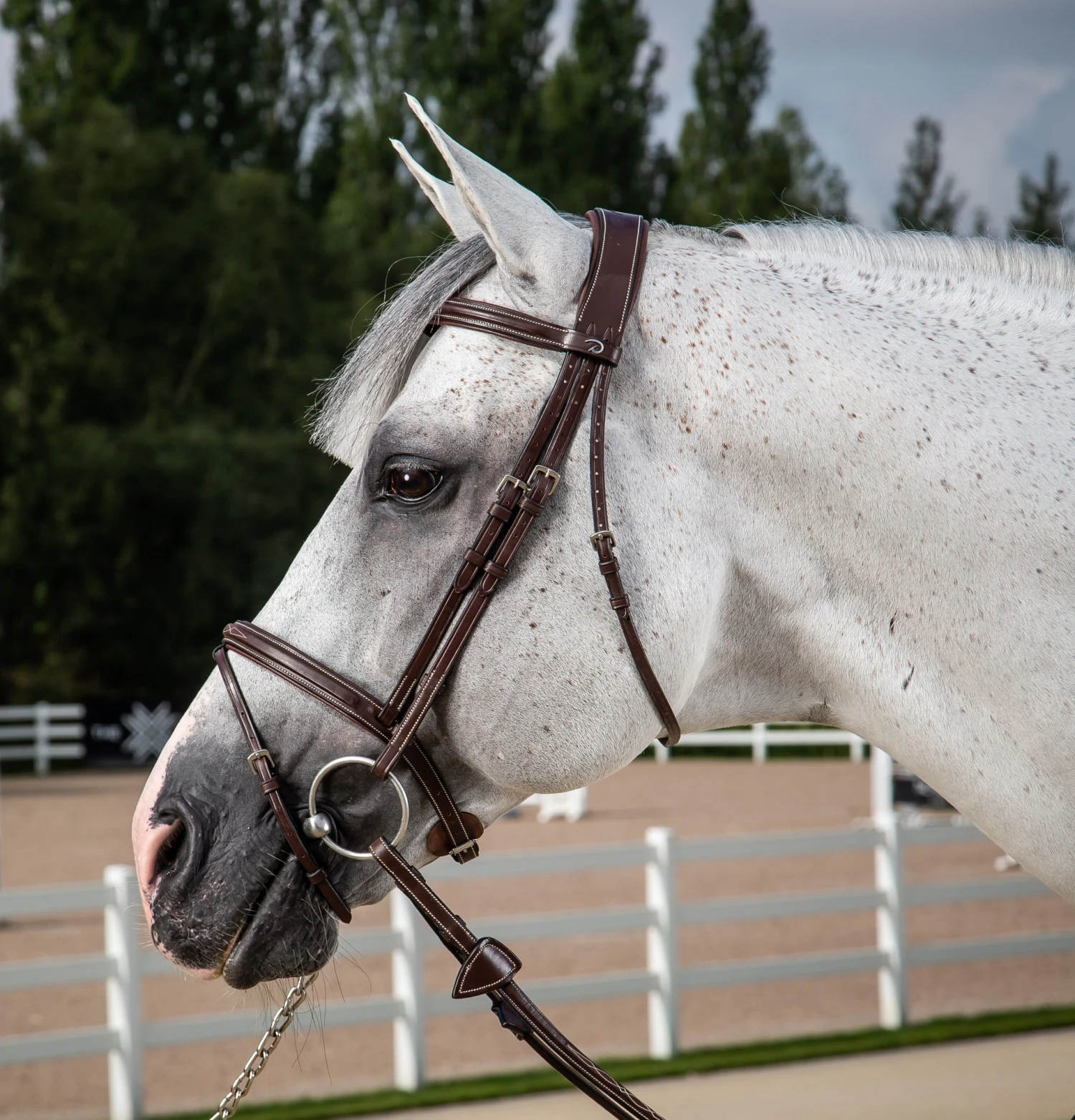 Dy'on Hunter Collectie Hoofdstel Gecombineerde Neusriem