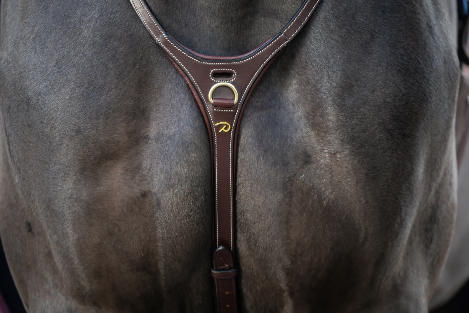 Dy'on Collectie Yoke Martingaal - Afbeelding 2