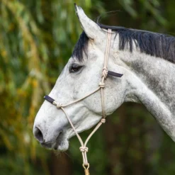 Dy'on La Cense Trainingshalster