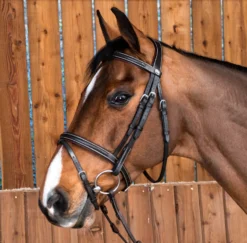 Dy'on Working Collectie Hoofdstel Gecombineerde Neusriem